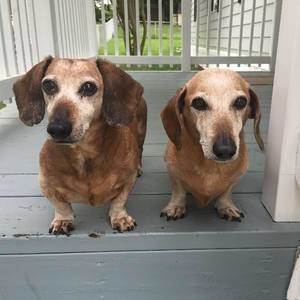 Meet your Posher, Tabatha